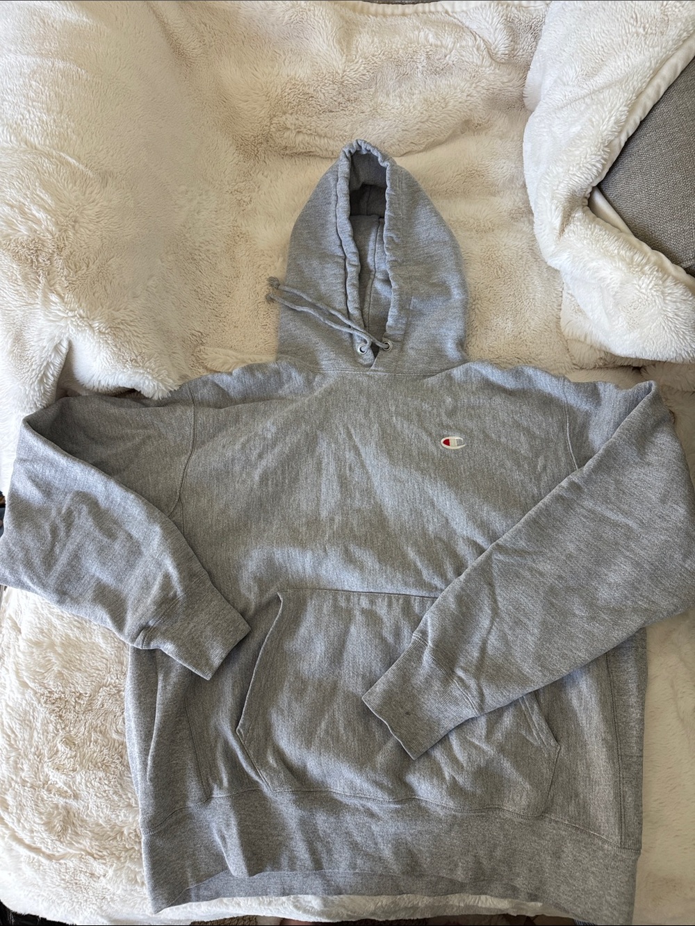 Champion Gray Pullover Hoodie with Small Chest Logo